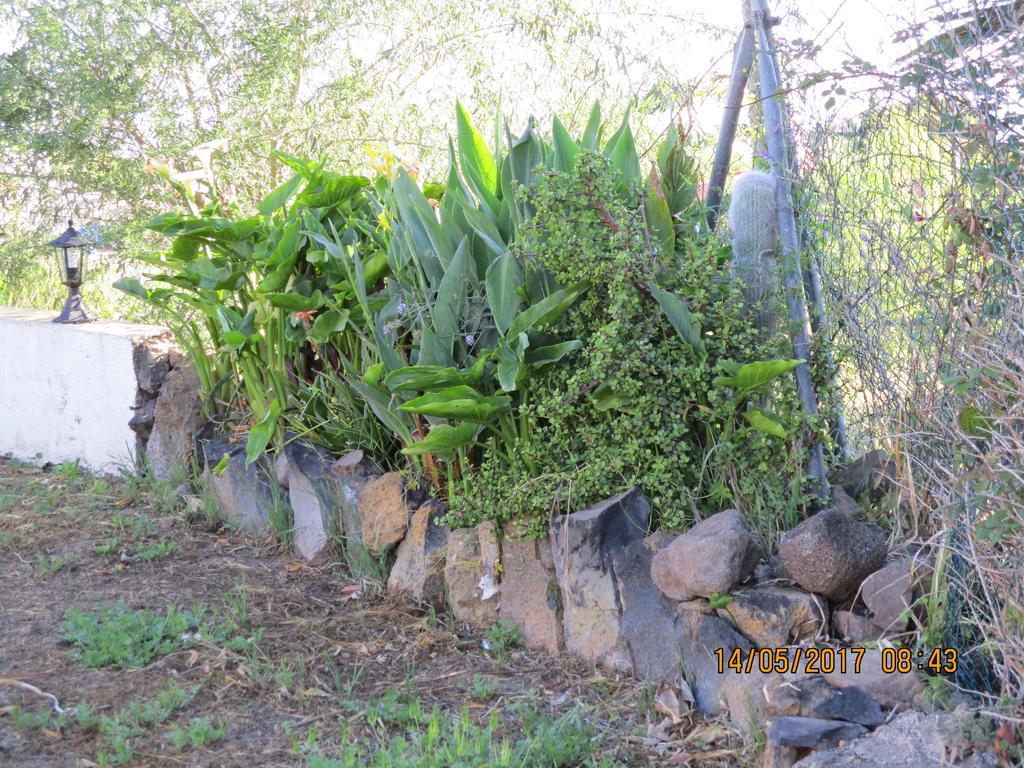 Penzion Casa Rural Cho Agustin Erjos-El Tanque Exteriér fotografie