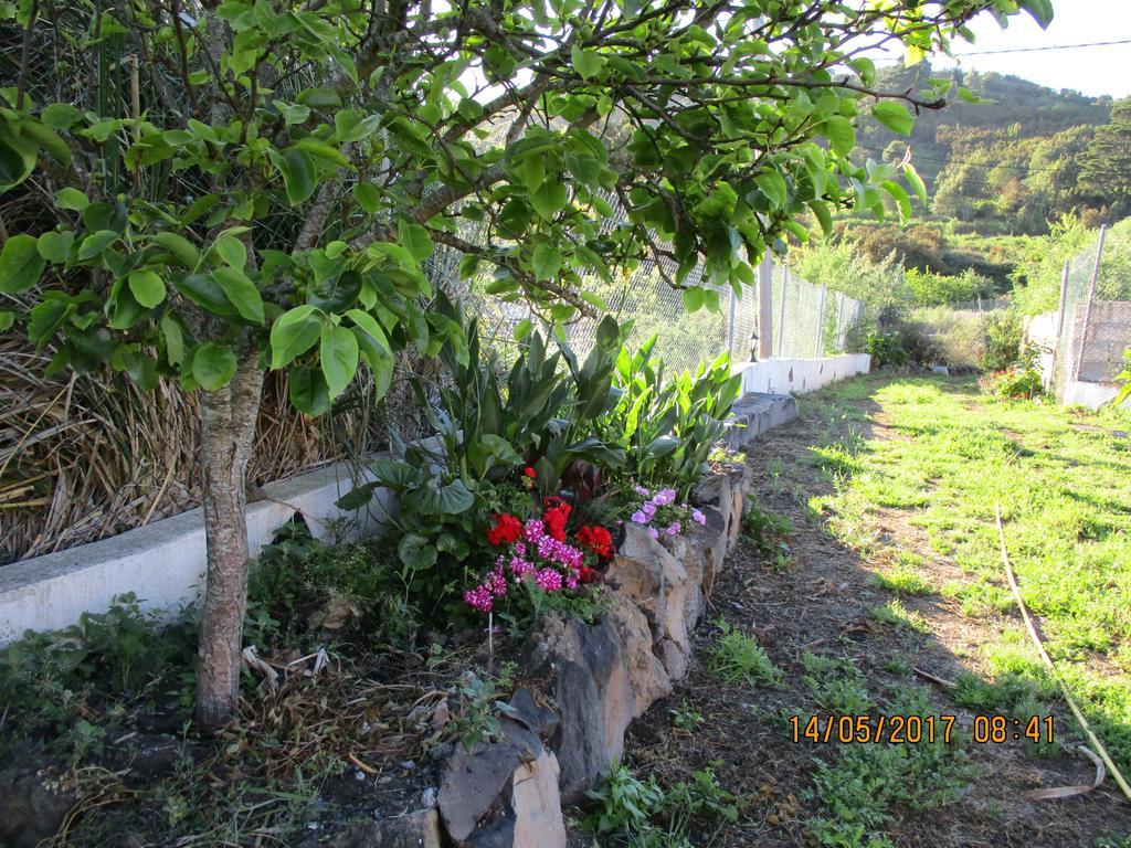 Penzion Casa Rural Cho Agustin Erjos-El Tanque Exteriér fotografie